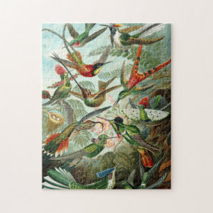 Hummingvogels Legpuzzel