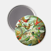 Hummingvogels Magneet (Voorkant / Achterkant)