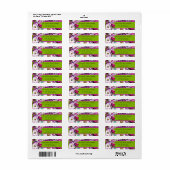 Hummingvogels Magnolias Persoonlijke Adresetikette Etiket (Full Sheet)