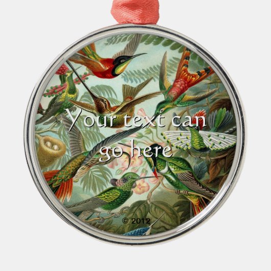  Hummingvogels Metalen Ornament (Voorkant)