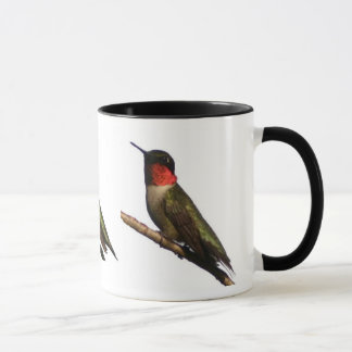Hummingvogels Mok