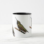 Hummingvogels Mok (Midden)