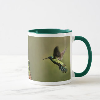 Hummingvogels Mok