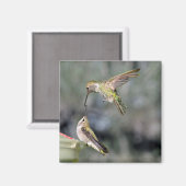 Hummingvogels op feeder Flying Magnet (Voorkant / Achterkant)