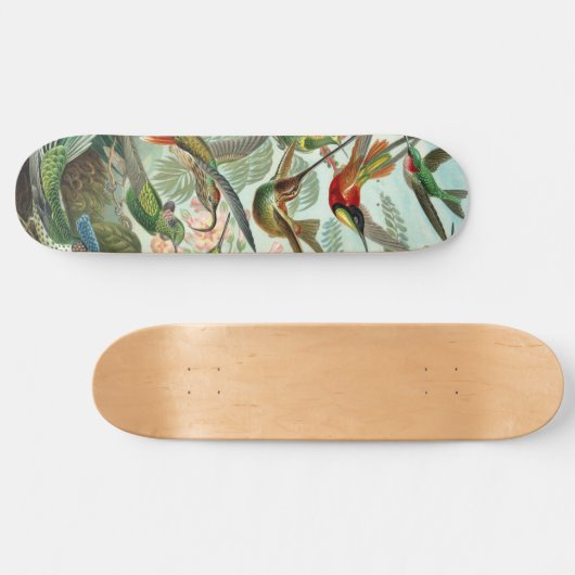 Hummingvogels Persoonlijk Skateboard (Horizontaal)