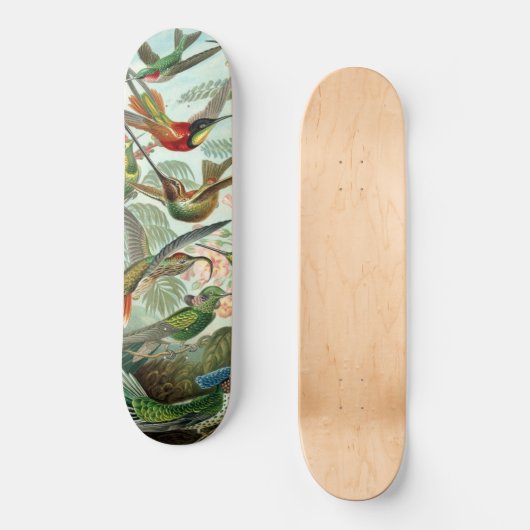 Hummingvogels Persoonlijk Skateboard (Voorkant)