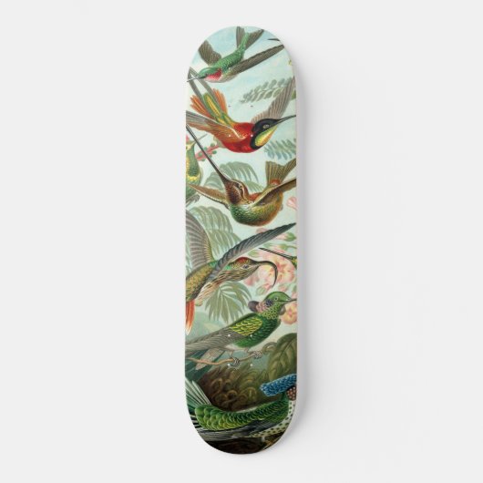 Hummingvogels Persoonlijk Skateboard (Voorkant)