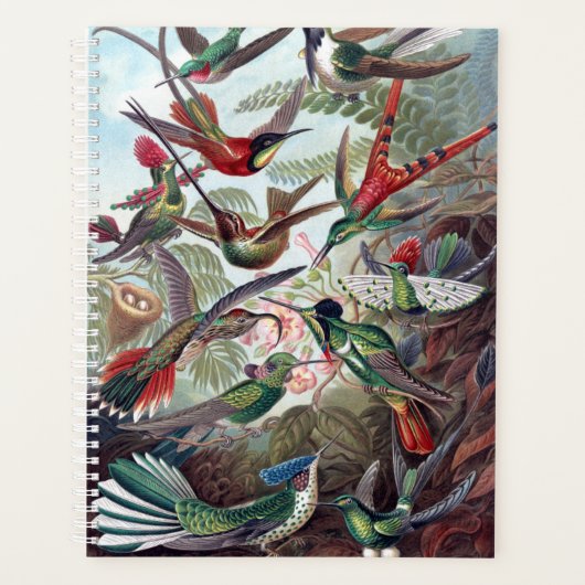 Hummingvogels Planner (Voorkant)