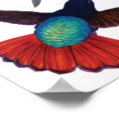  Hummingvogels Poster (Hoek)