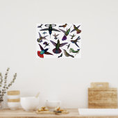  Hummingvogels Poster (Keuken)