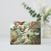  Hummingvogels Postkaart (Staand voorkant)