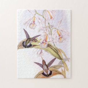 Hummingvogels Puzzle Legpuzzel