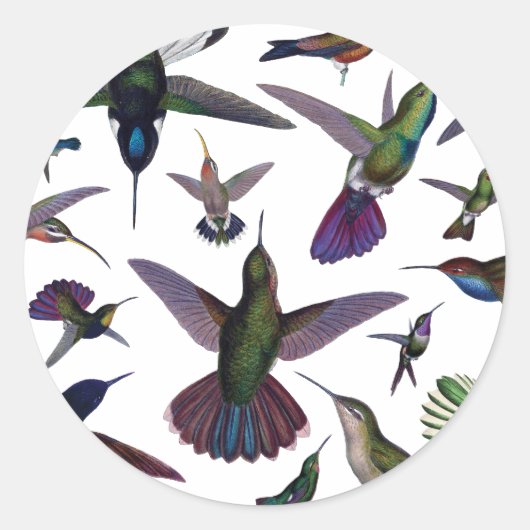  Hummingvogels Ronde Sticker (Voorkant)