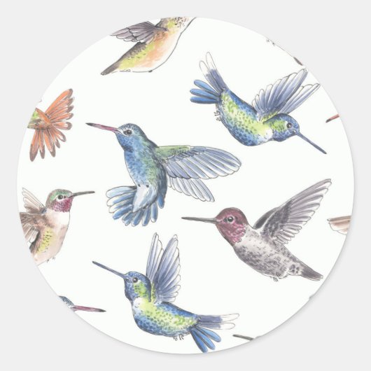Hummingvogels Ronde Sticker (Voorkant)