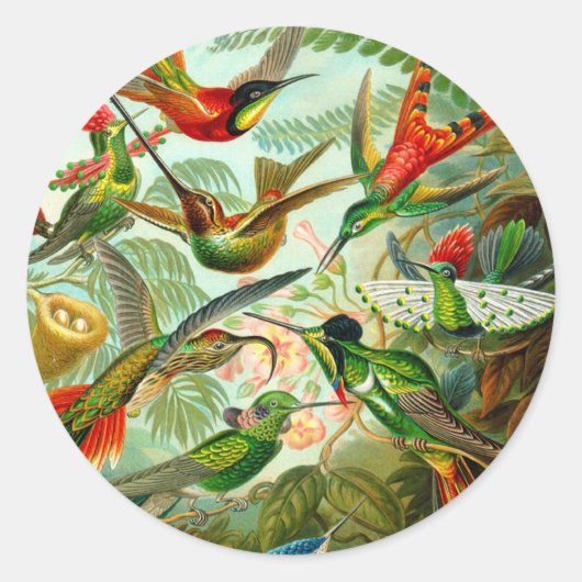 Hummingvogels Ronde Sticker (Voorkant)