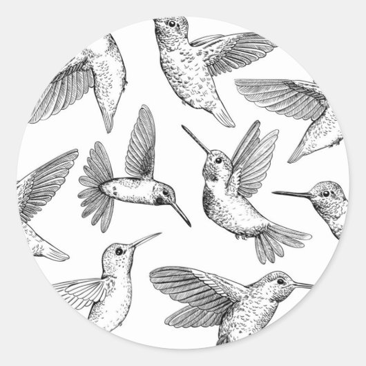 Hummingvogels Ronde Sticker (Voorkant)