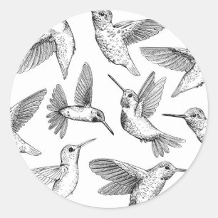 Hummingvogels Ronde Sticker