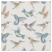 Hummingvogels Stof (Close Up)