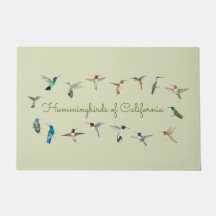 Hummingvogels uit Californië