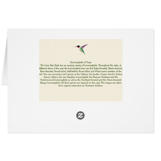 Hummingvogels uit Texas (Achterkant Horizontaal)
