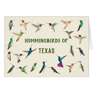 Hummingvogels uit Texas