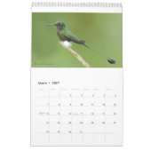 Hummingvogels van de Ecuadoraanse kalender (Mar 2027)