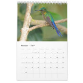 Hummingvogels van de Ecuadoraanse kalender (Feb 2027)