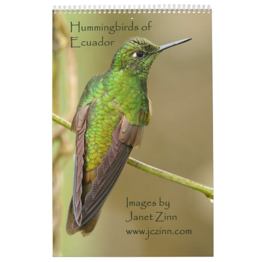 Hummingvogels van de Ecuadoraanse kalender (Hoes)