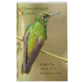 Hummingvogels van de Ecuadoraanse kalender (Hoes)