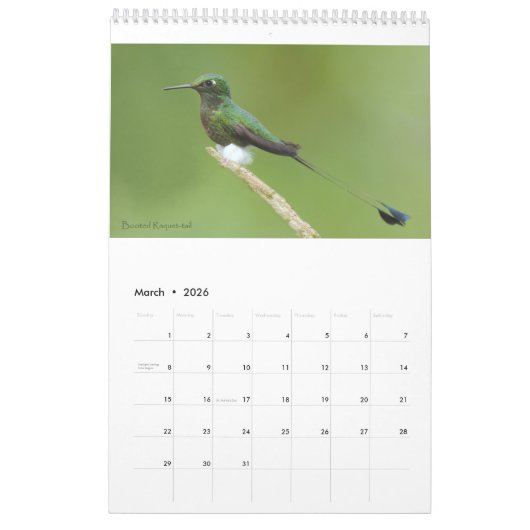 Hummingvogels van de Ecuadoraanse kalender (Mar 2026)