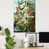Hummingvogels van Ernst Haeckel Poster (Thuiskantoor)