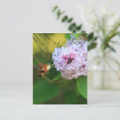 Hummmingbird Moth Briefkaart (Staand voorkant)