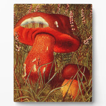 Humongous Fungus onder de Vintage Boletus Luridus