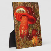 Humongous Fungus onder de Vintage Boletus Luridus Fotoplaat (Zijkant)