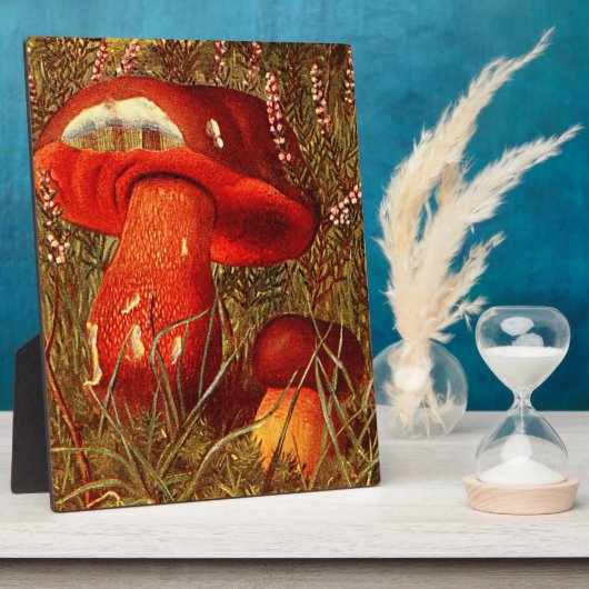 Humongous Fungus onder de Vintage Boletus Luridus Fotoplaat (Zijkant)