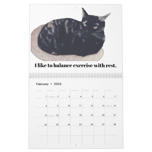 Humor 2019 voor katten en onderschriften kalender (Feb 2026)
