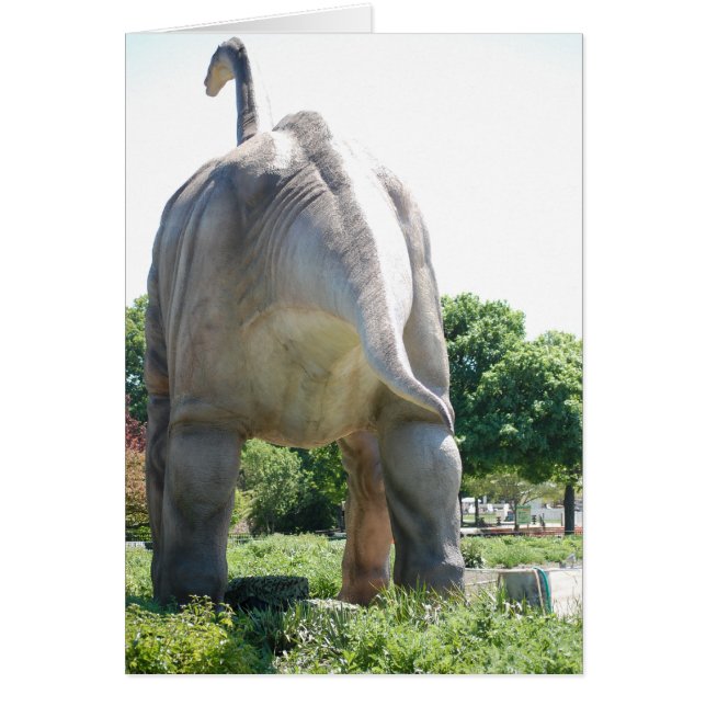 Humor/Funny (Voorkant)