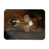 Humor Horse Schuif Cigar Flexible Magnet Magneet (Horizontaal)