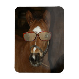 Humor Horse Schuif Cigar Flexible Magnet Magneet