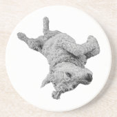 Humor in rust zandsteen onderzetter (Voorkant)