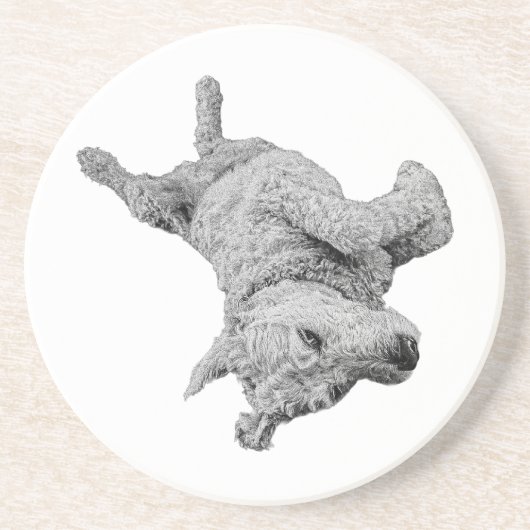 Humor in rust zandsteen onderzetter (Voorkant)