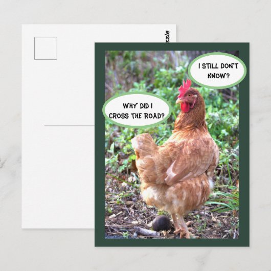 Humor kippen briefkaart (Voorkant / Achterkant)