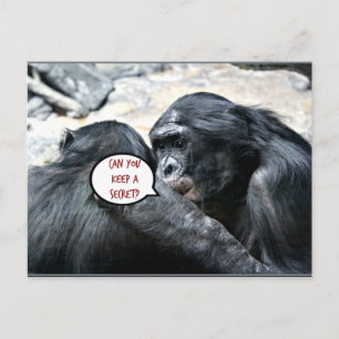 Humor - Kunt u een geheim bewaren? Briefkaart