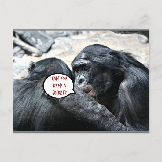 Humor - Kunt u een geheim bewaren? Briefkaart (Voorkant)