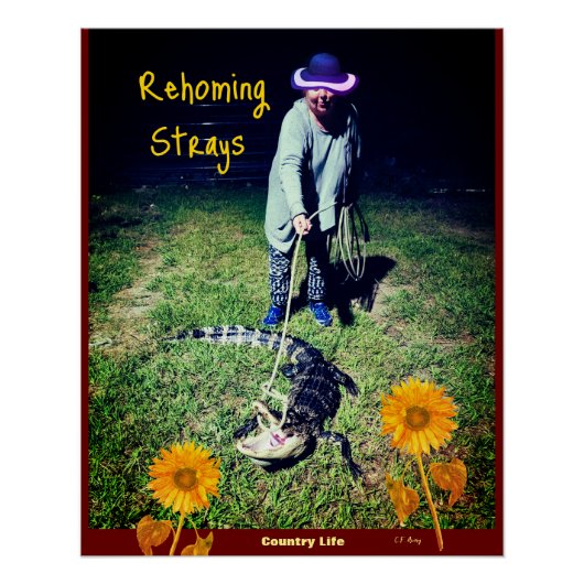 Humor - Leven op het platteland — Rehoming Strays Perfect Poster (Voorkant)
