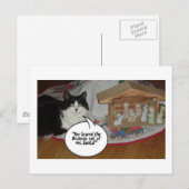 Humor met kerstzwarte en witte kat feestdagenkaart (Voorkant / Achterkant)