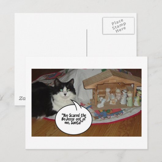 Humor met kerstzwarte en witte kat feestdagenkaart (Voorkant / Achterkant)