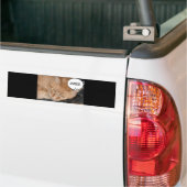 Humor Oranje tablet/cel telefoon Bumpersticker (Op Truck)
