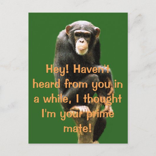 Humor Post Card Briefkaart (Voorkant)