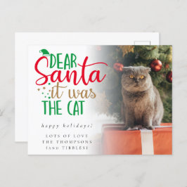 Humor Santa Het was het Briefkaart van de Kat Foto